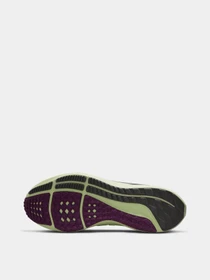 Кроссовки NIKE Air Zoom Pegasus 39 модель DH4071-101 Фото