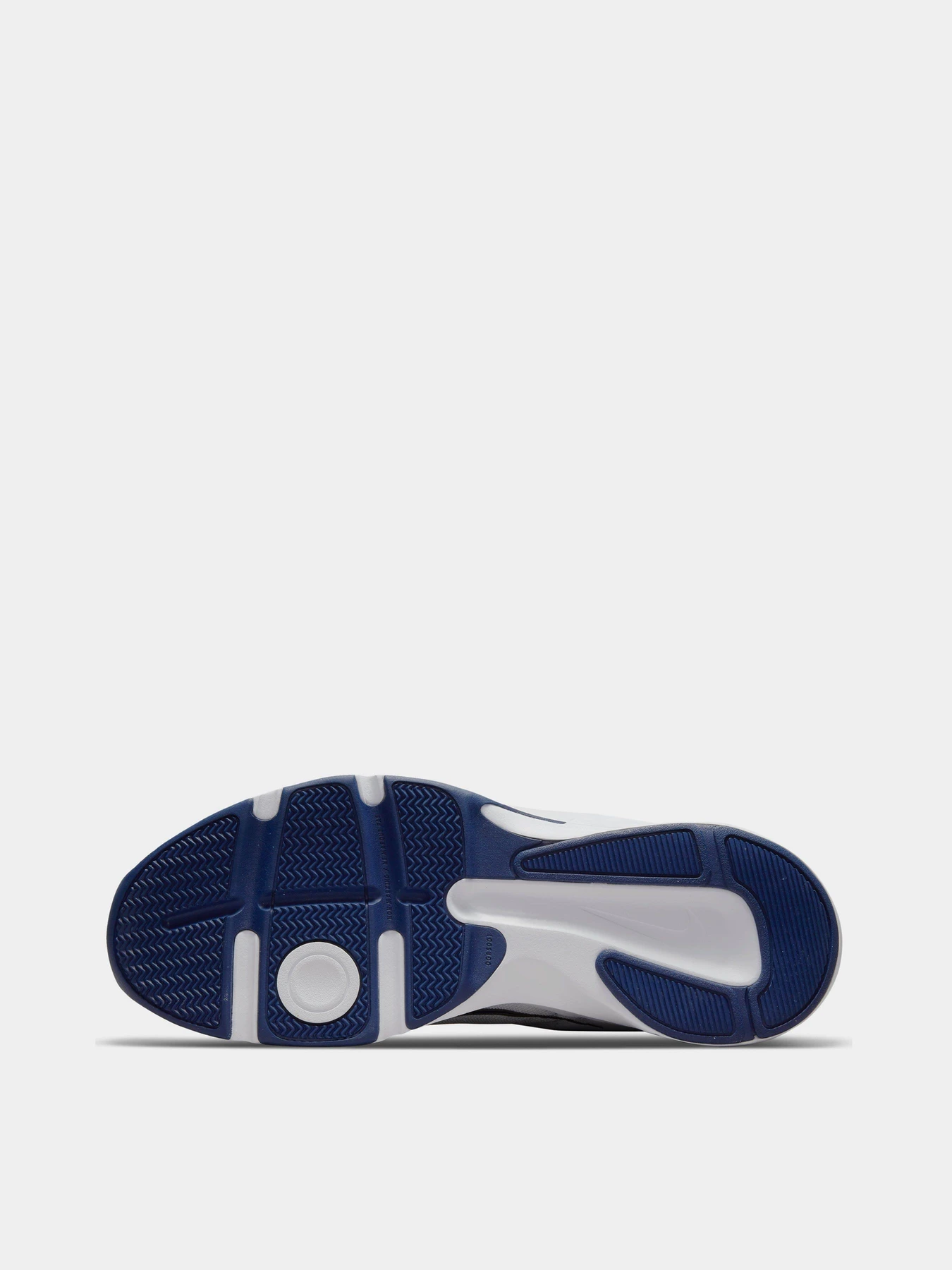 Кроссовки NIKE Defy All Day модель DJ1196-100 Фото