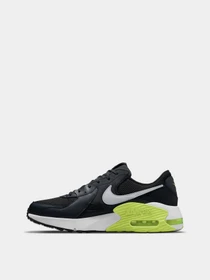Кроссовки NIKE Air Max EXCEE модель CD4165-016 Фото