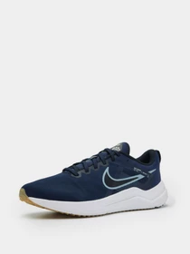 Кроссовки NIKE Downshifter 12 модель DD9293-400 Фото