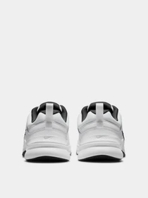 Кроссовки NIKE Defy All Day модель DM7564-100 Фото