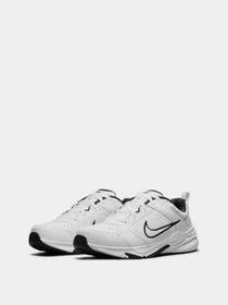 Кроссовки NIKE Defy All Day модель DM7564-100 Фото