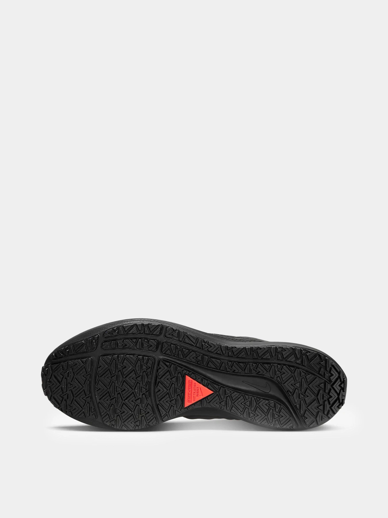 Кроссовки NIKE Air Zoom Pegasus 39 Shield модель DO7625-001 Кроссовки NIKE Air Zoom Pegasus 39 Shield модель DO7625-001 Фото