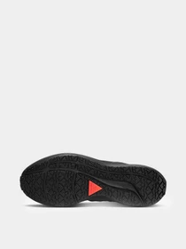 Кроссовки NIKE Air Zoom Pegasus 39 Shield модель DO7625-001 Фото