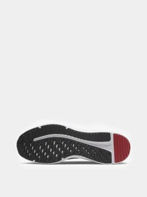Кроссовки NIKE Downshifter 12 модель DD9293-003 Фото
