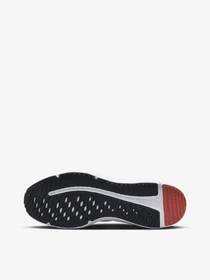 Кроссовки NIKE Downshifter 12 модель DD9293-009 Фото
