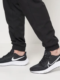 Кросівки NIKE Air Zoom Pegasus 39 модель DH4071-001 Фото