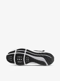 Кроссовки NIKE Air Zoom Pegasus 39 FlyEase модель DJ7381-001 Фото