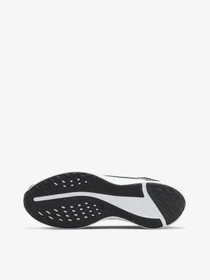 Кросівки NIKE QUEST 5 модель DD0204-001 Фото