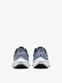 Кросівки NIKE Air Zoom Pegasus 39 модель DH4071-401 Фото