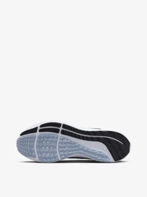 Кросівки NIKE Air Zoom Pegasus 39 модель DH4071-401 Фото