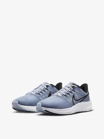 Кросівки NIKE Air Zoom Pegasus 39 модель DH4071-401 Фото