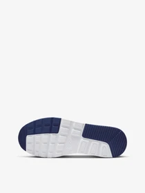 Кроссовки NIKE Air Max SC модель CW4555-012 Фото