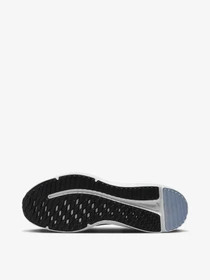 Кроссовки NIKE Downshifter 12 модель DD9293-401 Фото