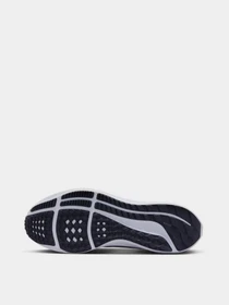 Кроссовки NIKE Air Zoom Pegasus модель DV3853-001 Фото