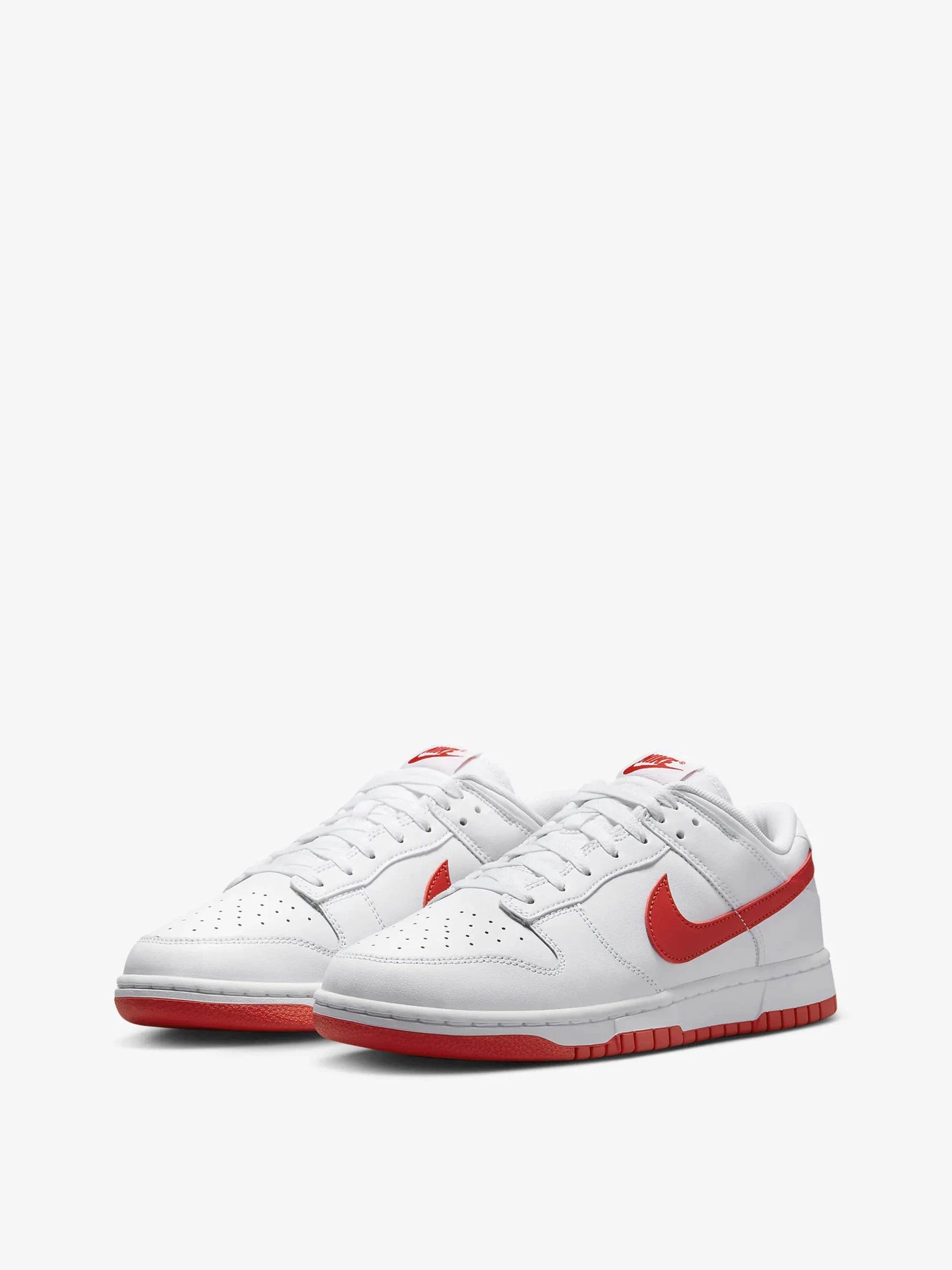 Кеды NIKE Dunk Low Retro модель DV0831-103 Фото