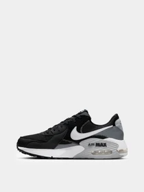 Кроссовки NIKE AIR MAX EXCEE модель FN7304-001 Фото