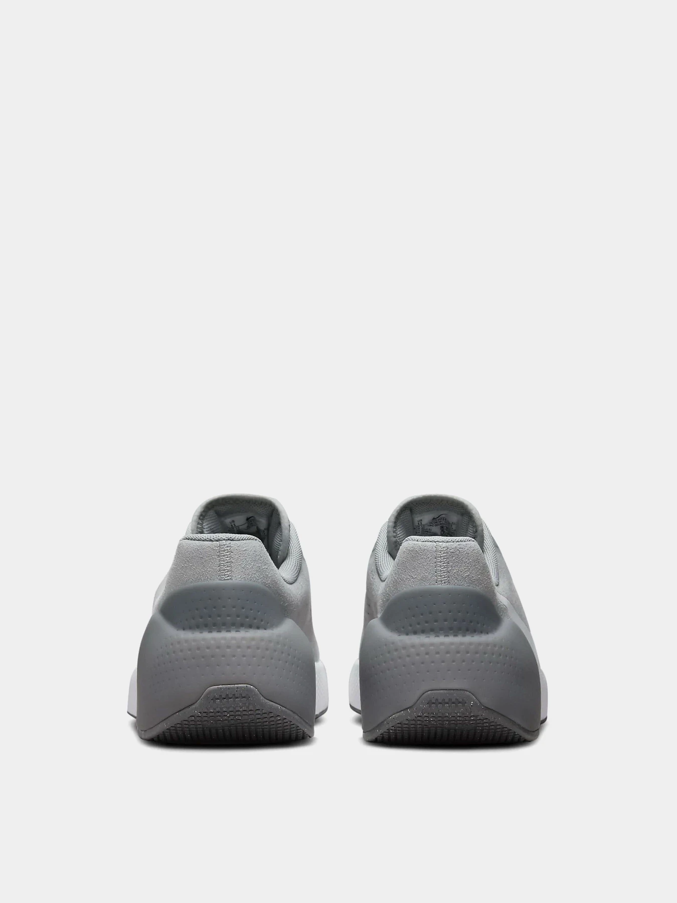 Кросівки NIKE AIR ZOOM TR1 модель DX9016-003 Фото