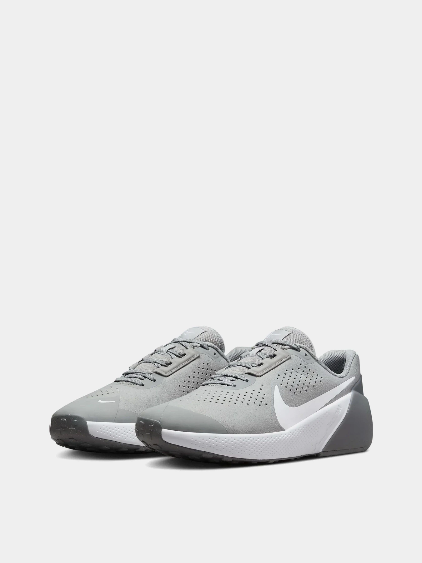 Кросівки NIKE AIR ZOOM TR1 модель DX9016-003 Фото