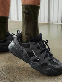 Кросівки NIKE TECH HERA модель FJ9532-001 Фото