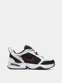 Кросівки NIKE AIR MONARCH IV модель 415445-101 Фото