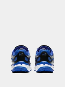 Кросівки NIKE P-6000 модель CD6404-400 Фото