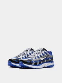 Кросівки NIKE P-6000 модель CD6404-400 Фото