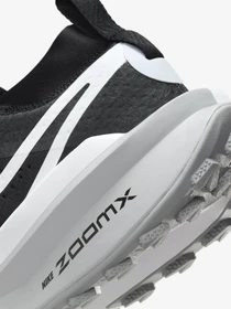 Кросівки NIKE ZEGAMA 2 модель FD5190-001 Фото