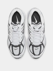 Кросівки NIKE AIR PEG 2K5 модель FJ1909-100 Фото