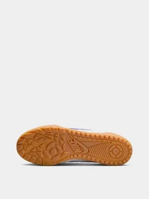 Кросівки NIKE TERRA MANTA модель HQ4502-102 Фото