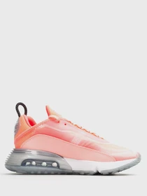 Кроссовки NIKE Air Max 2090 модель CT7698-600 Фото