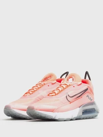 Кроссовки NIKE Air Max 2090 модель CT7698-600 Фото