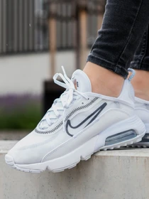 Кроссовки NIKE Air Max 2090 модель CK2612-100 Фото