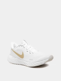 Кроссовки NIKE REVOLUTION 5 модель BQ3207-108 Фото