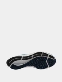 Кроссовки NIKE Air Zoom Pegasus 38 модель CW7358-400 Фото