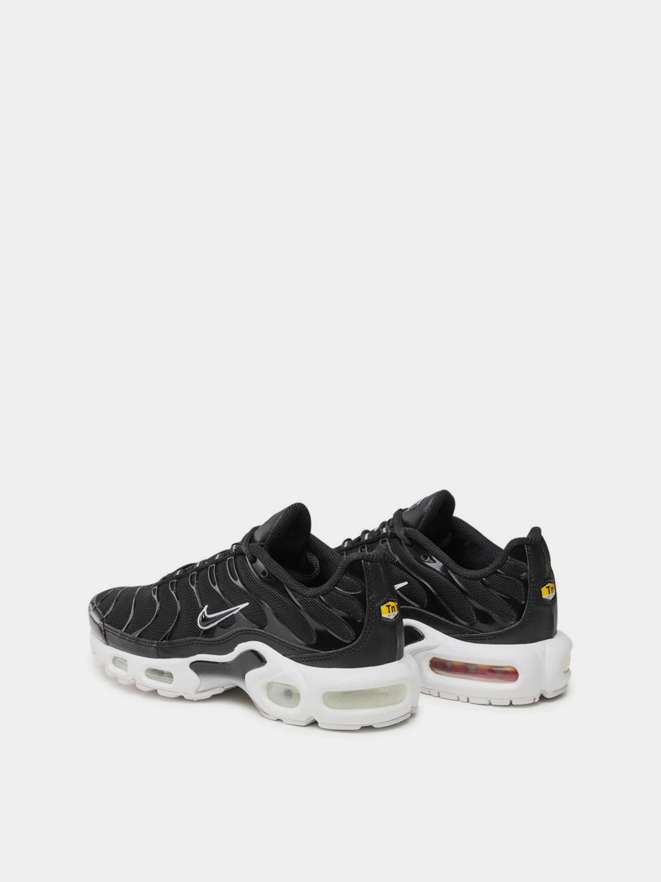 Кросівки NIKE AIR MAX PLUS модель DM2362-001 Фото