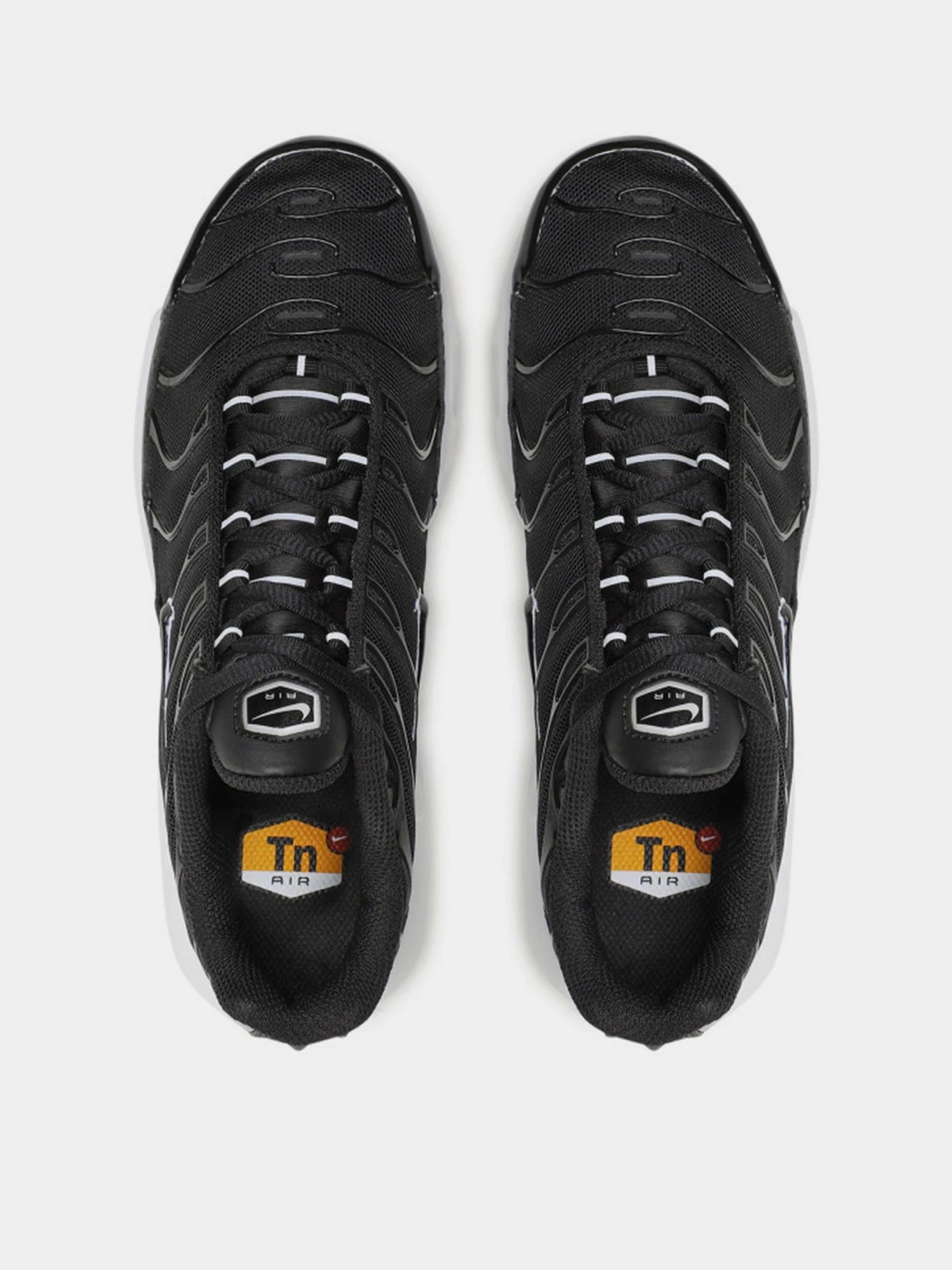 Кросівки NIKE AIR MAX PLUS модель DM2362-001 Фото