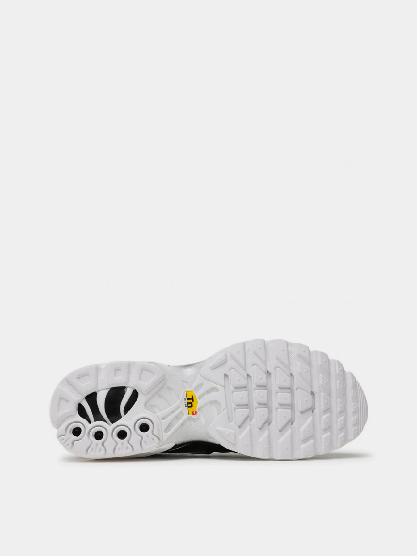 Кросівки NIKE AIR MAX PLUS модель DM2362-001 Фото