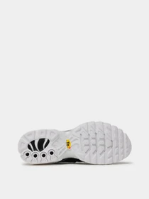 Кросівки NIKE AIR MAX PLUS модель DM2362-001 Фото