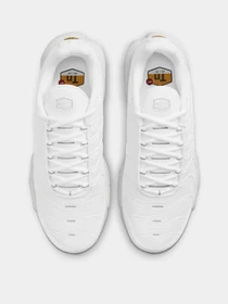 Кроссовки NIKE AIR MAX PLUS модель DM2362-100 Фото