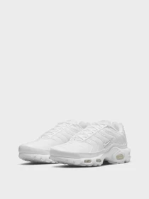 Кроссовки NIKE AIR MAX PLUS модель DM2362-100 Фото