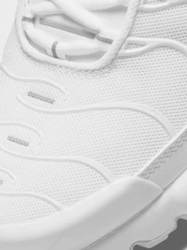 Кроссовки NIKE AIR MAX PLUS модель DM2362-100 Фото