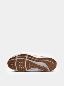 Кроссовки NIKE Air Zoom Pegasus 39 модель DZ5214-100 Фото