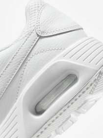 Кросівки NIKE AIR MAX модель CW4554-101 Фото
