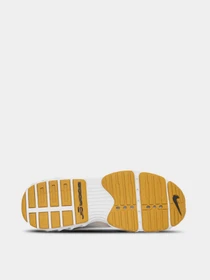 Кросівки NIKE Zoom Air Fire модель DV1129-100 Фото