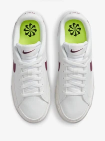 Кеды NIKE Court Legacy Next Nature модель DH3161-106 Фото