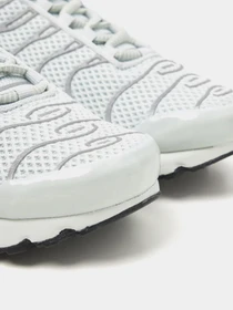 Кроссовки NIKE AIR MAX PLUS модель FV8480-002 Фото