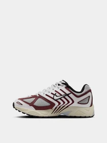 Кроссовки NIKE AIR PEGASUS 2005 модель HQ5718-600 Фото
