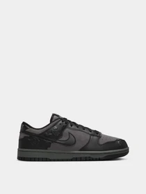 Кеды NIKE DUNK LOW модель HF1986-001 Фото