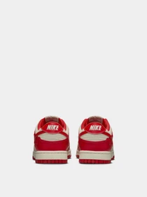 Кеды NIKE DUNK LOW модель HF1986-100 Фото